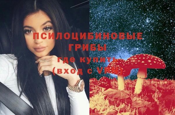 стафф Арсеньев