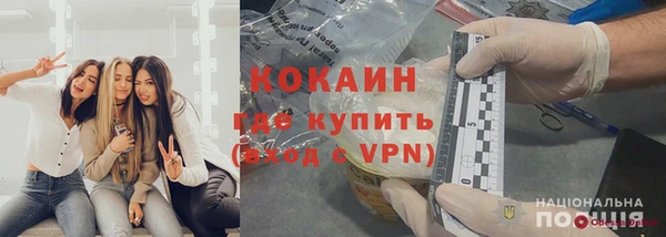 стафф Арсеньев