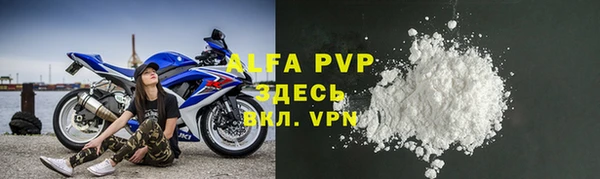 стафф Арсеньев