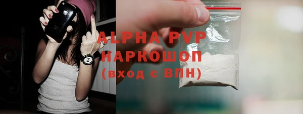 стафф Арсеньев