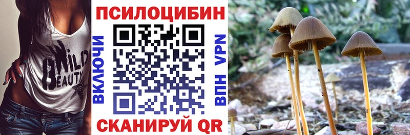 Галлюциногенные грибы мухоморы  купить наркоту  Медногорск 